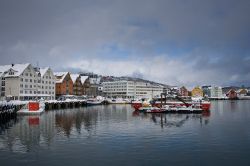 Tromsö  (181)